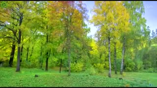 یک سال در ۴۰ ثانیه