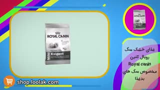 غذای خشک رویال کنین مخصوص سگ های بدغذا - پت شاپ اینترنتی لولاک