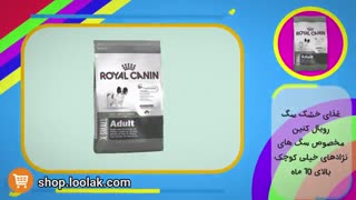 غذای خشک سگ - نژادهای خیلی کوچک بالای ۱۰ ماه - پت شاپ اینترنتی لولاک