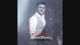 آهنگ دلی علیرضا طلیسچی - زدسانگ