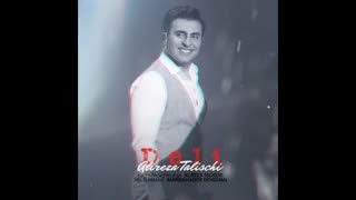 اهنگ جدید علیرضا طلیسچی:دلی