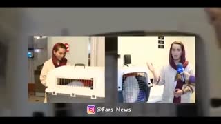 سگ بازی و سگ پروری به جای فرزند پروری