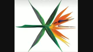 دوستان همه اصل! آرمی ها و آگاسه ها و اکسوال ها و کلا تمامی دنبال کنندگان عزیزم همه اصل