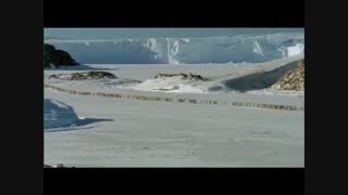 تلیر مستند March of the Penguins