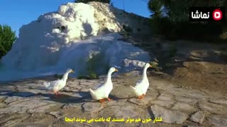 این قصرهای طبیعی به طرز شگفت آوری شما را درمان میکنند