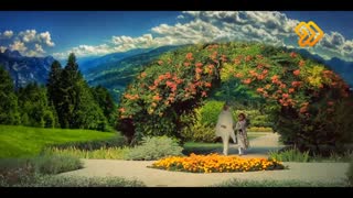 دیدار با فرشته ( فیلمی از شیوا ملکی )