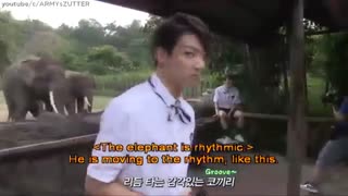 مجموعه لحظاتی که bts با حیوانات داشتن