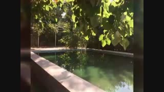 باغ ویلای لوکس در کرج - کد 483 - املاک حکمت