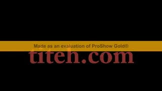 لباس مجلسی زنانه،لباس زنانه مجلسی تولیدی طیطه