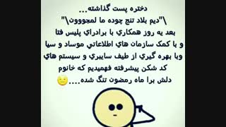 همکاری با پلیس های فتا :||