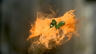 ترکیدن توپ پینت بال در هوا چندین برابر آهسته تر