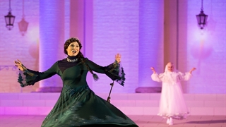 تماشای کنسرت نمایش " سی " در کنار دو توریست ترکیه ای