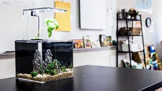 دریا در خانه ؛ یک اکوسیستم دریایی کامل خانگی