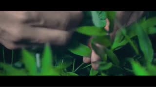 موزیک ویدئو آرومم با صدای مهدی یغمایی