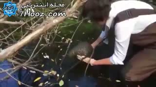 مشاهده موجودی عجیب شبیه مغز انسان