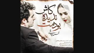 موزیک کاش ندیده بودمت محسن چاوشی