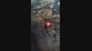 سنت های زیبای دهکده