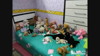 عروسکای من برای مسابقه