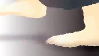 Top 5 GASTER Undertale Animations! #2 [H