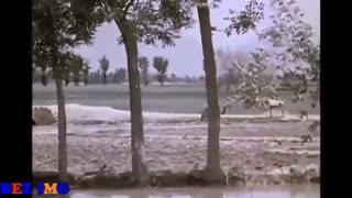 اصفهان از غرب تا شرق در سال 1340 خورشیدی