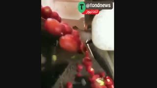 دستگاه گوجه جداکن! گوجه های نرسیده رو با سرعت باورنکردنی و بادقت بالا جدا میکنه