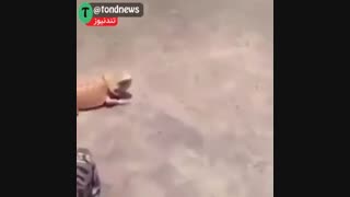 وقتی تو خیابون  رفیقتو که ازت پول میخواد می‌بینی