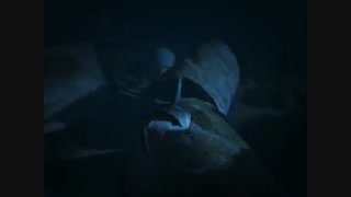 تبدیل شدن به کوسه در GTA V
