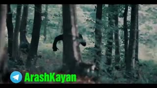 آرش کایان یالان دونیا