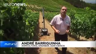 روباتی برای افزایش توان رقابت پذیری شراب سازان در اروپا - futuris