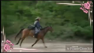 میکس زیبای ملکه هفت روزه با آهنگ عادل قنبری مگه داریم مثل تو