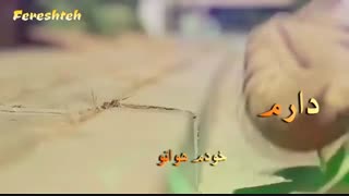 ❤قلبم❤ میکس شاد و عاشقانه کره ای با صدای فرزاد فرزین .تقدیمی.