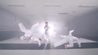 blood sweat and tears-Taekwondo version