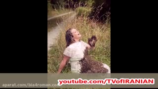 حمله 20 هزار زنبور عسل به شکم یک زن حامله + عکس