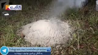 شاهکار شکل معماری لانه مورچه ها!