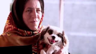 باکتری خان - بامداد