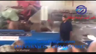 دستگاه آبگیر فرش + دستگاه خشک کن فرش و قالی