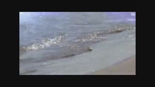 کوکوره کو (  kukure ku ) - بهرام کریمی