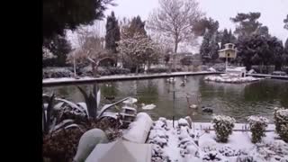 اجاره آپارتمان مبله