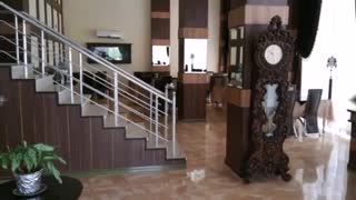 اجاره آپارتمان مبله در قشم