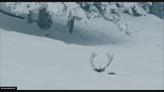 فیلم خارجی زیبای ( برادران باد ) ژان رنو