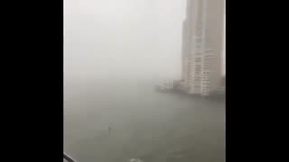 تماشا کنید : شهر میامی در آمریکا پس از طوفان ایرما