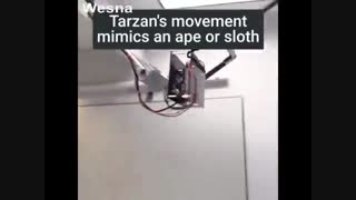 تماشا کنید : ربات تارزان