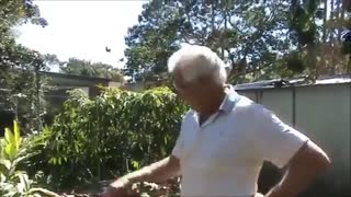 My Cow & Horse Manure Strategy ( برگرفته از یوتیوب)