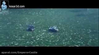 دانلود انیمیشن نبرد خلیج فارس 2 در کانال FiveMovie@ تلگرام