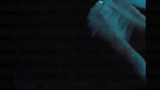 The Collector (2009) Full Movies English