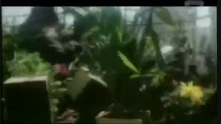 فیلم سینمایی  chandra mukhiدوبله فارسی