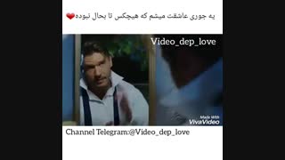 یه جوری عاشقت میشم که هیچکس تا بحال نبوده