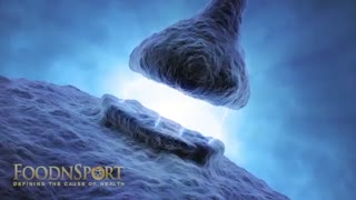 ۱۰ تا از فواید موز و خواص آن را بشناسید ( زبان انگلیسی )