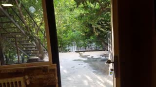 اجاره سوئیت ،سوئیت باغچه ، ویلا در شمشک 09215742638