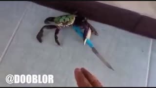 خرچنگ عصبی! خنده دار